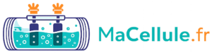 MaCellule.fr